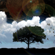 Image for article titled 7 Great Books That Show How Terrifying an Environmental Apocalypse Could Be